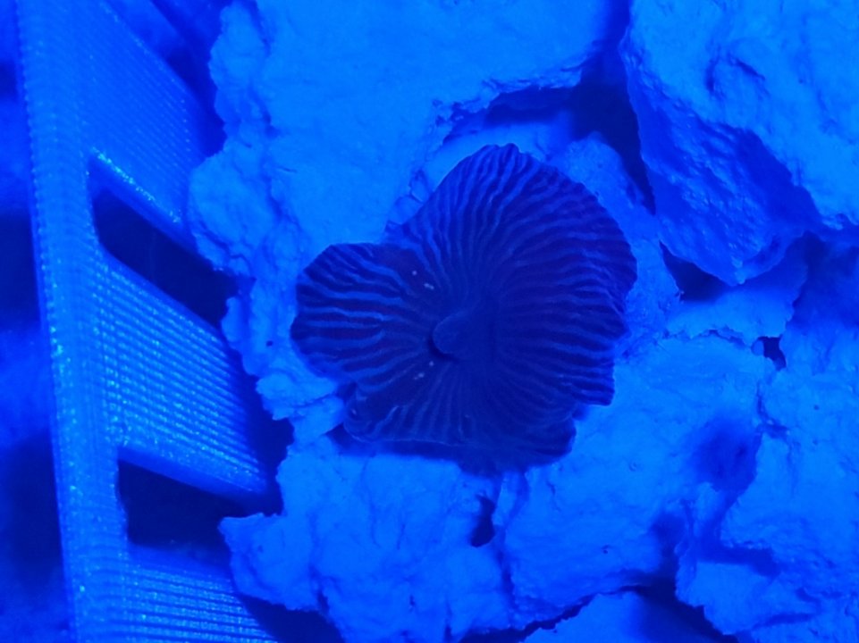 20210328_203018.jpg