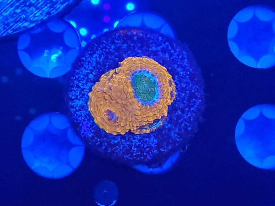 20210328_203023.jpg