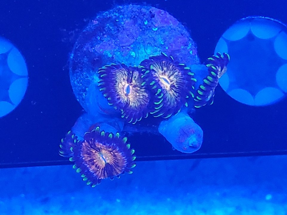 20210328_203033.jpg