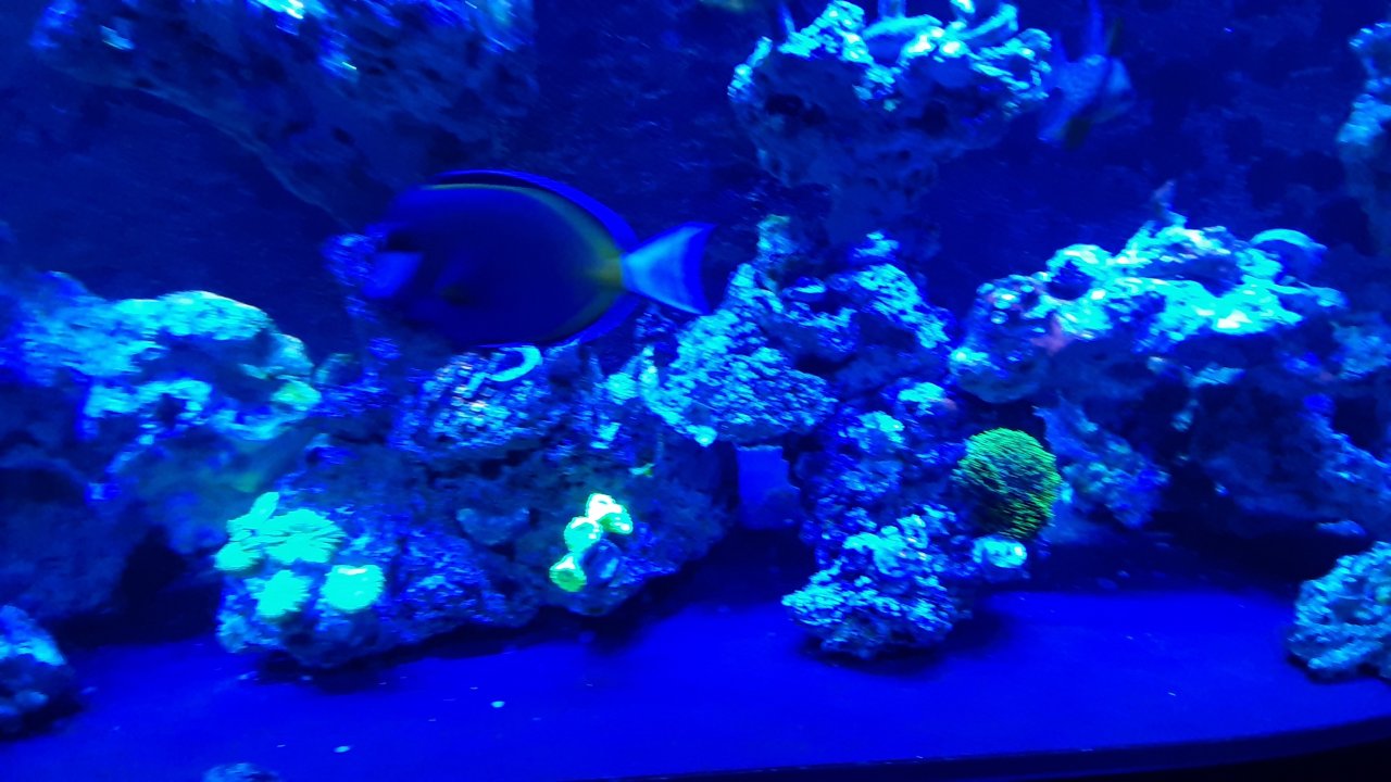 20210329_205711.jpg