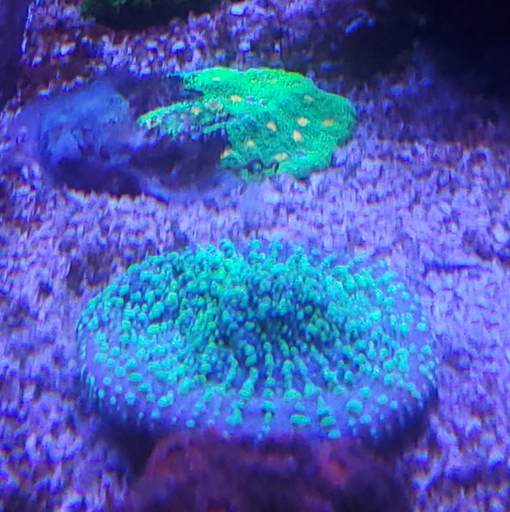 20210329_205926.jpg