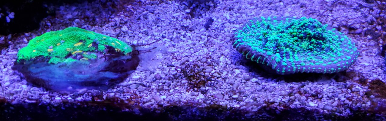 20210329_205941.jpg