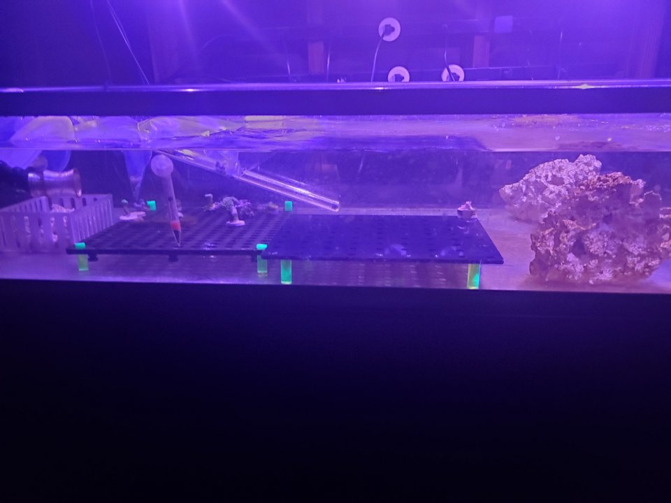 20210401_214202.jpg
