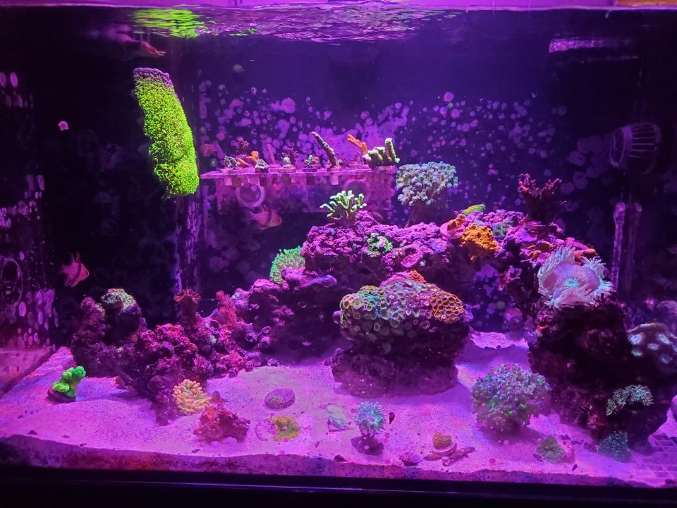 20210404_210058.jpg