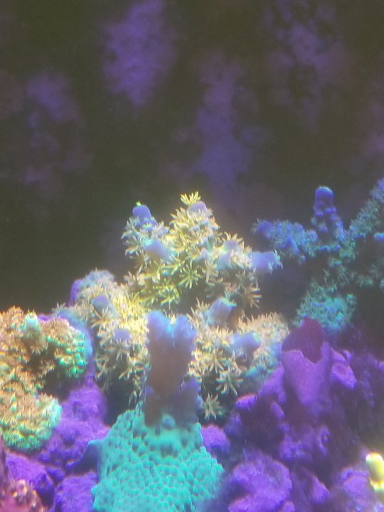 20210415_183042.jpg