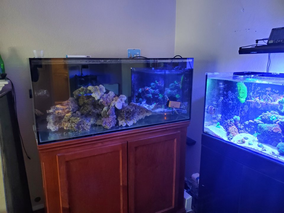 20210418_104142.jpg
