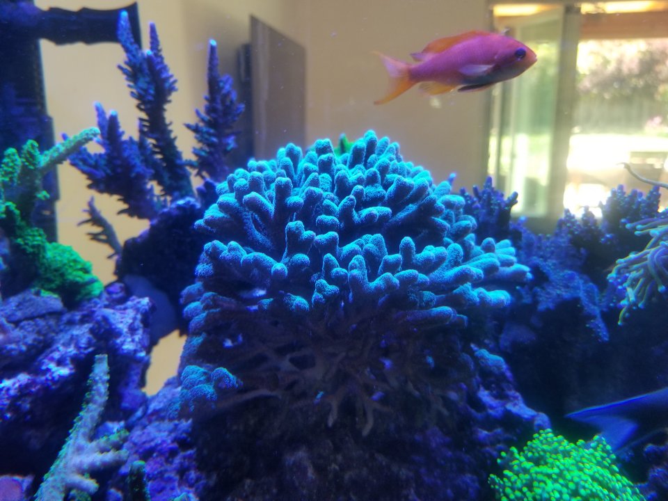 20210418_120310.jpg