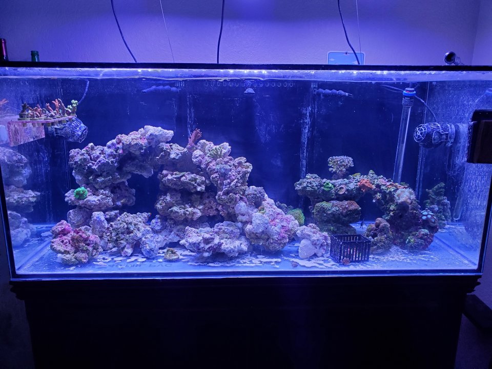 20210423_072915.jpg