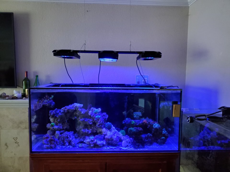 20210423_073931.jpg