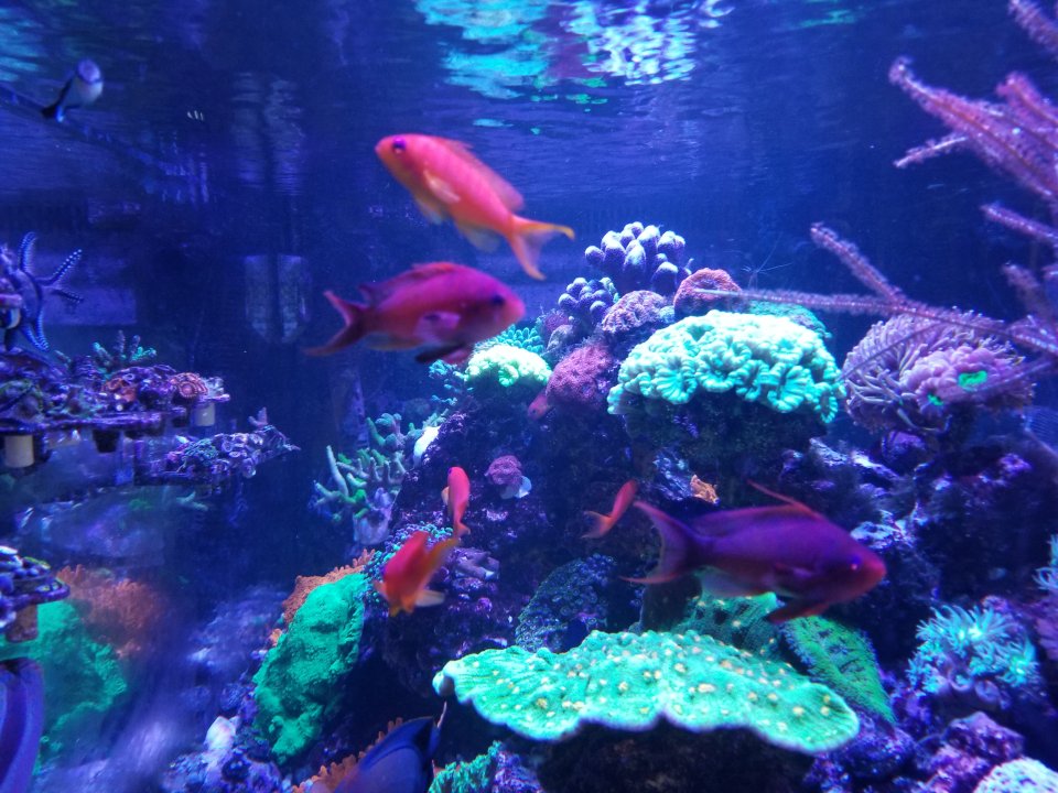 20210423_184730.jpg
