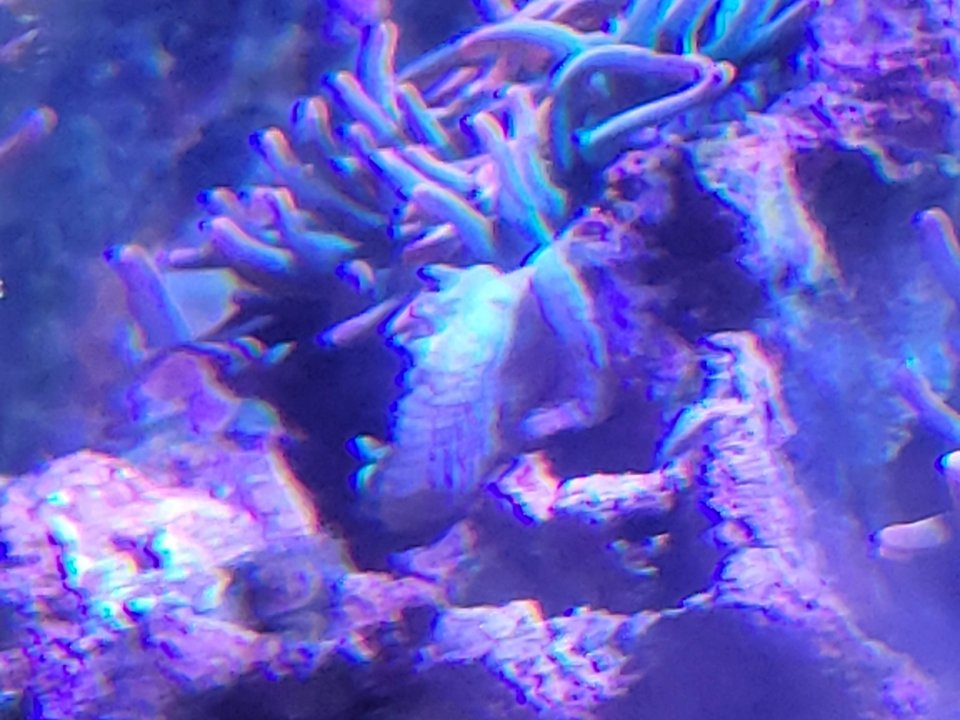 20210427_222833.jpg