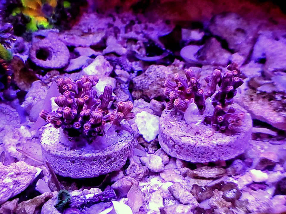 20210428_210903-01.jpeg