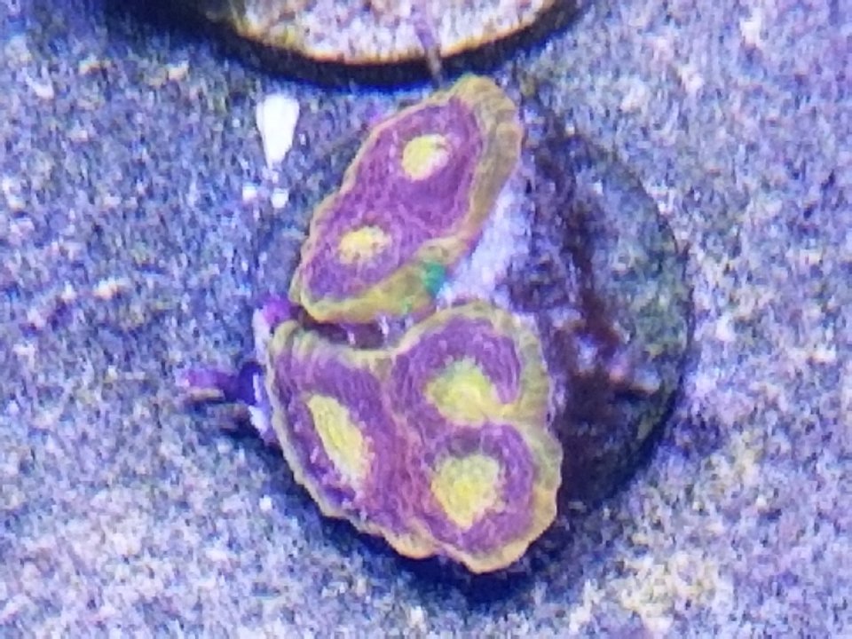 20210501_144033.jpg