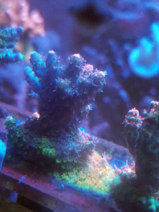 20210503_234717.jpg