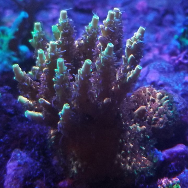 20210505_184828.jpg