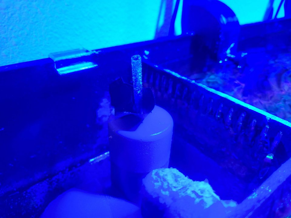 20210509_121503.jpg