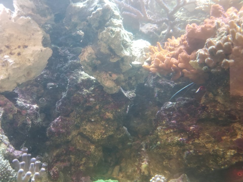 20210513_203819.jpg
