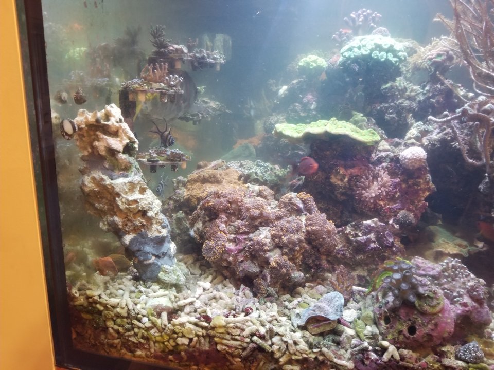 20210513_204304.jpg