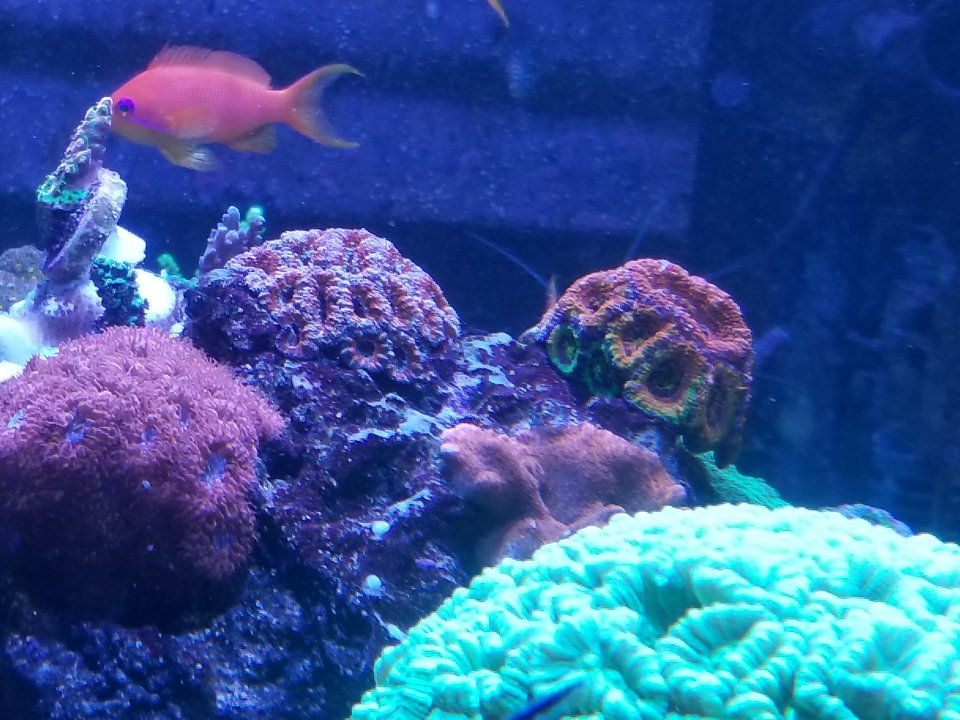 20210516_131104.jpg