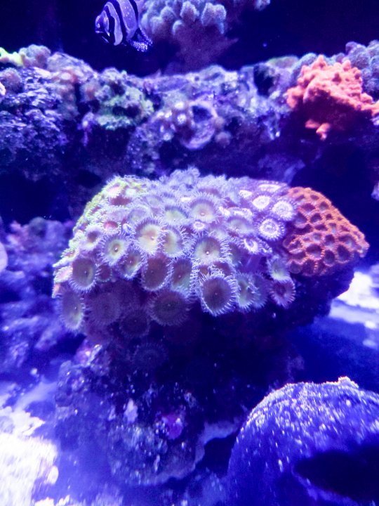 20210520_205437.jpg