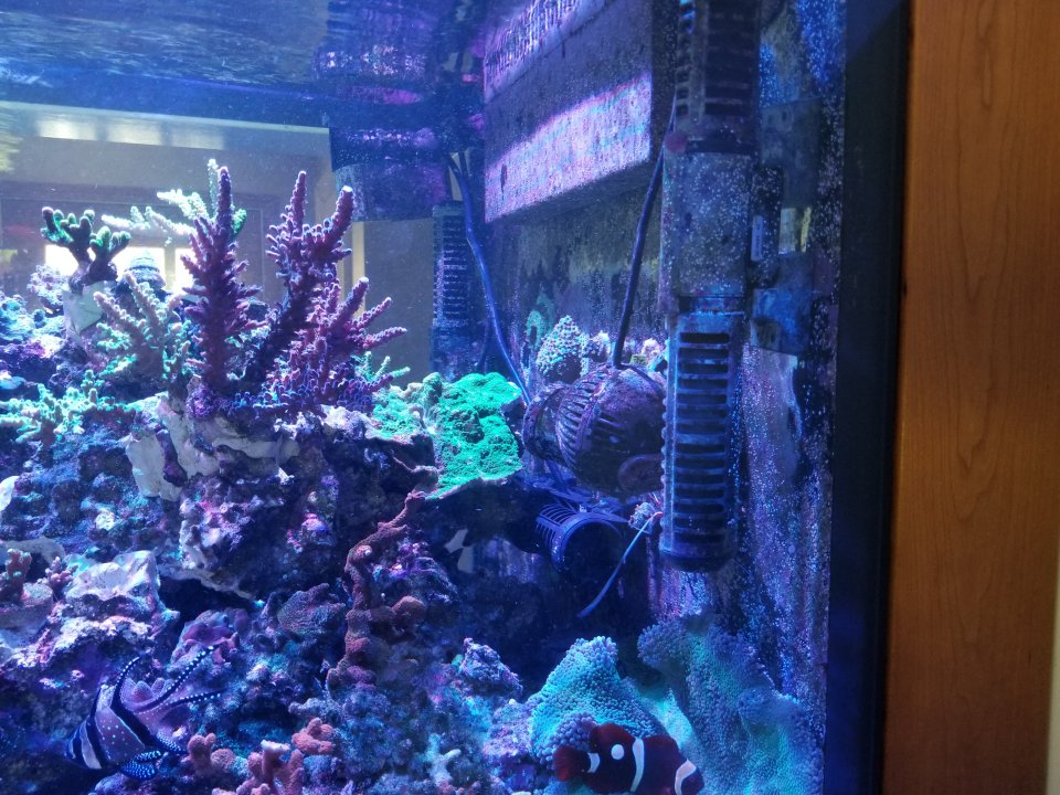 20210521_165908.jpg