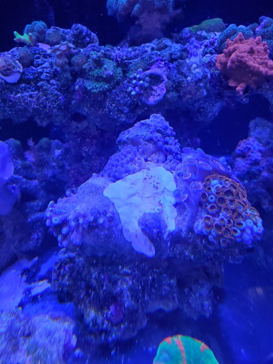 20210523_191354.jpg