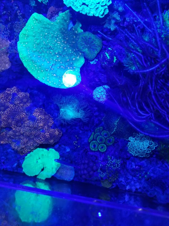 20210524_171455.jpg