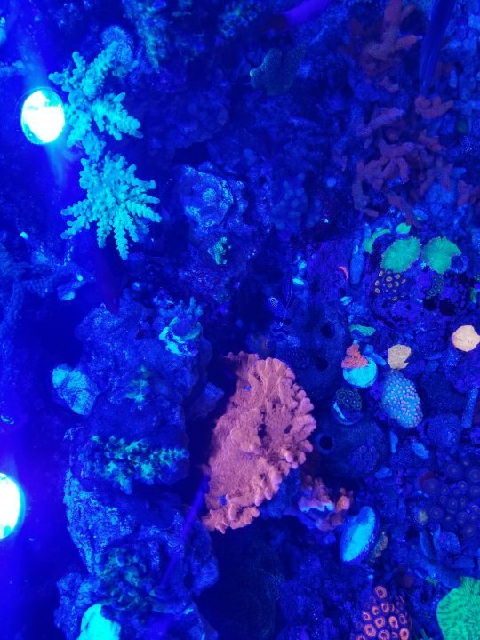 20210524_171722.jpg