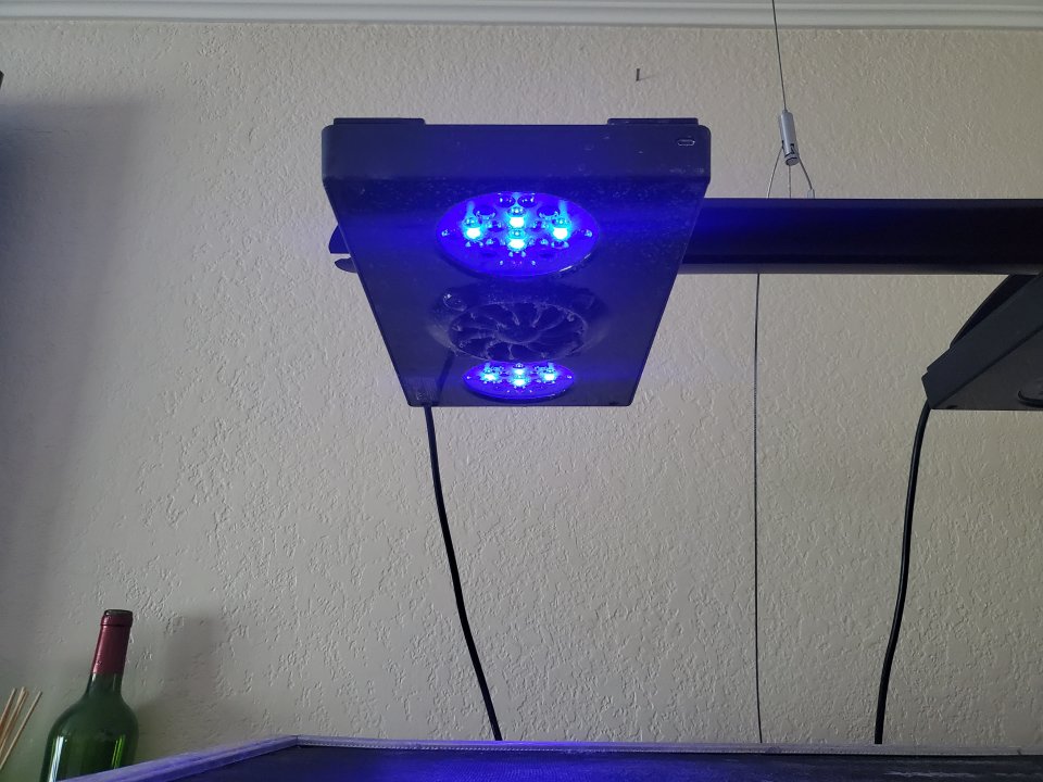 20210603_123833.jpg