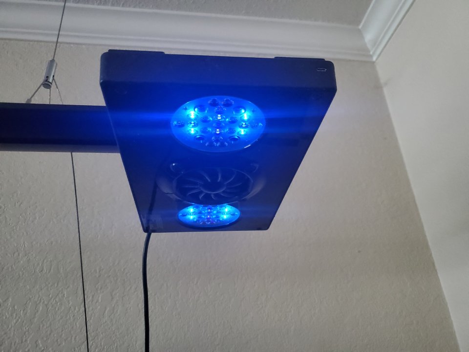 20210603_123839.jpg