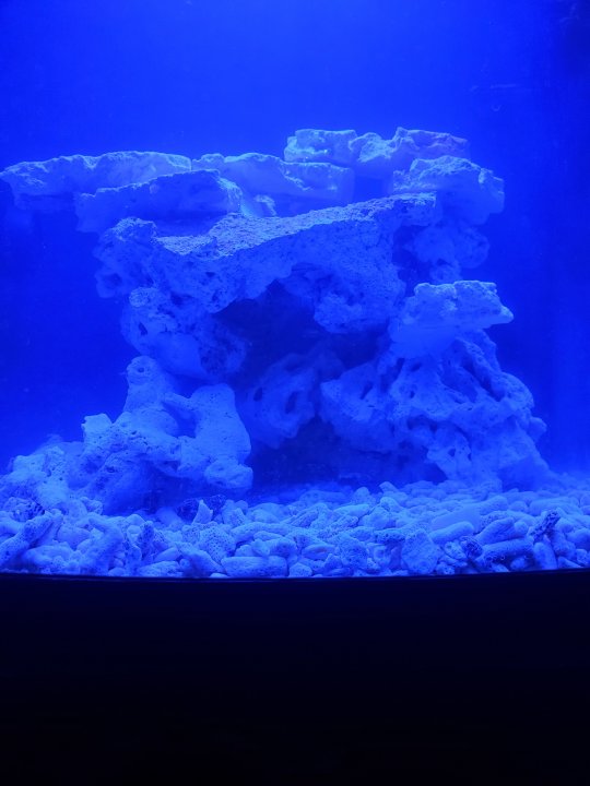 20210604_222000.jpg