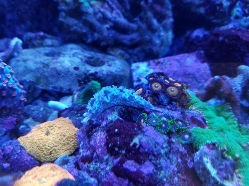 20210609_125743.jpg