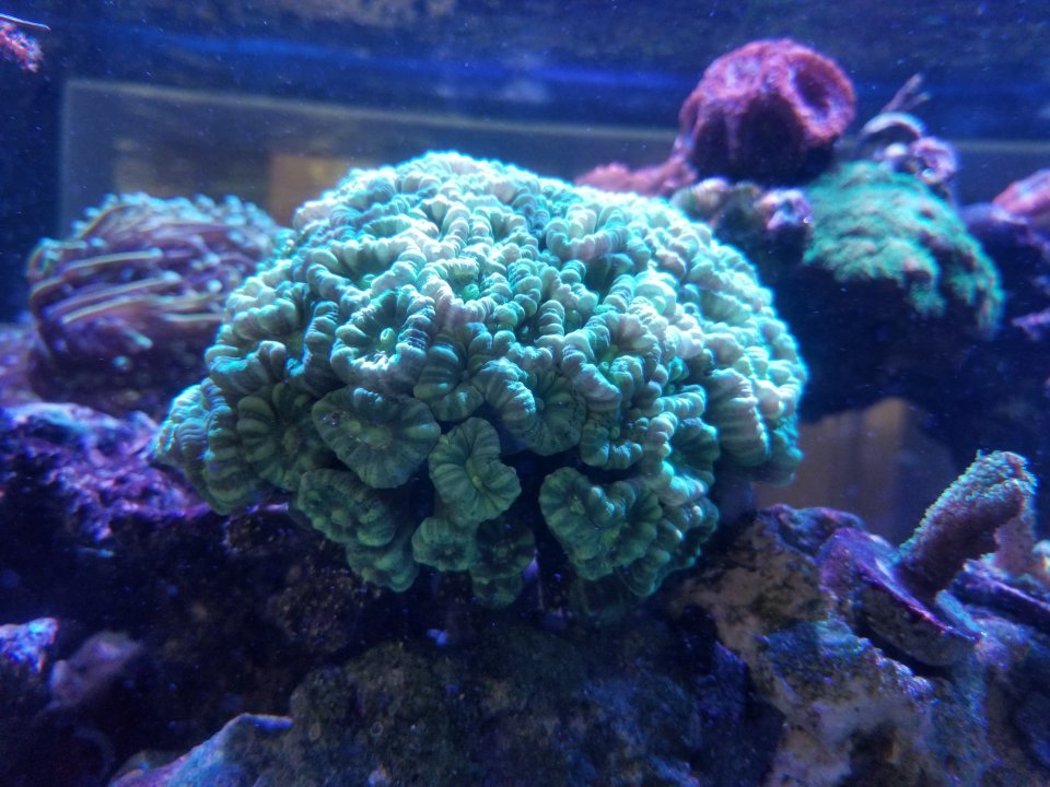 20210610_142304.jpg