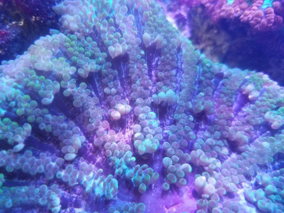 20210610_142310.jpg