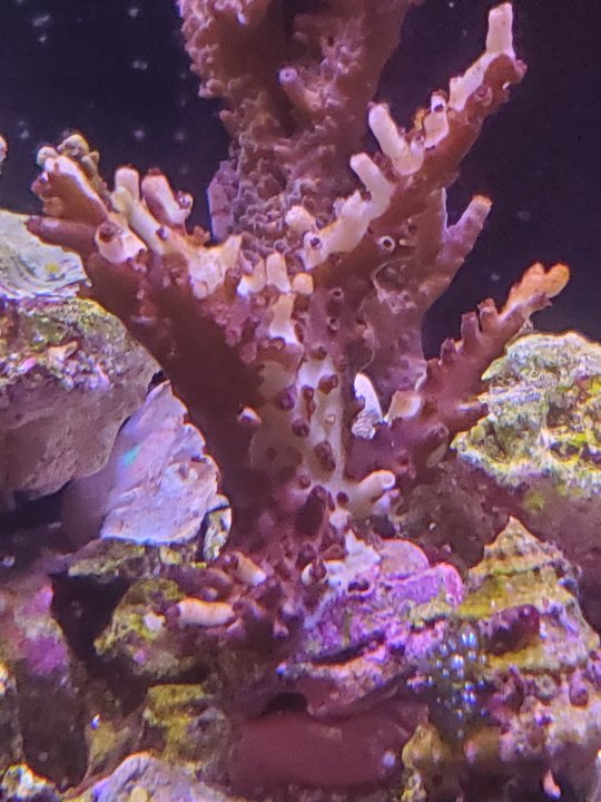 20210617_201024.jpg