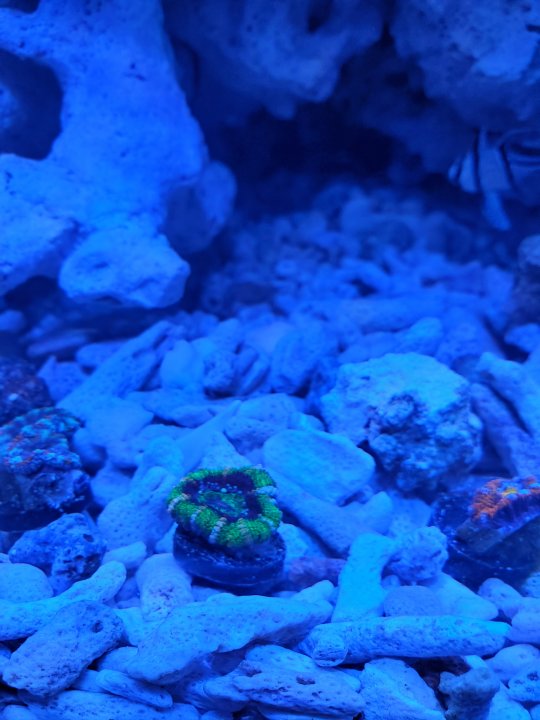 20210620_203525.jpg