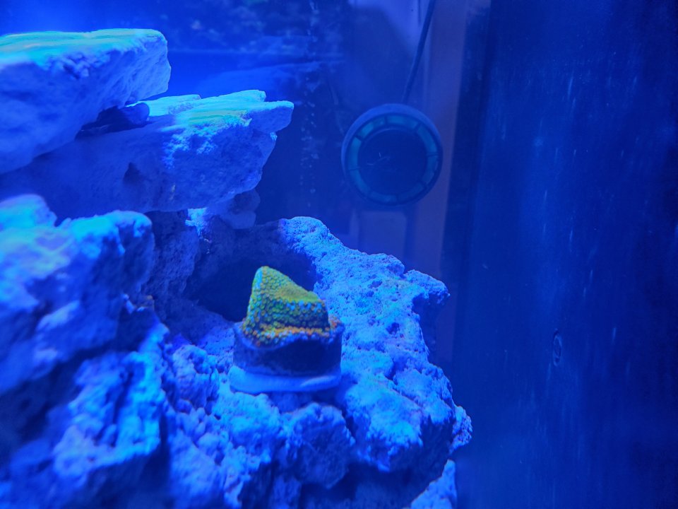 20210620_203541.jpg