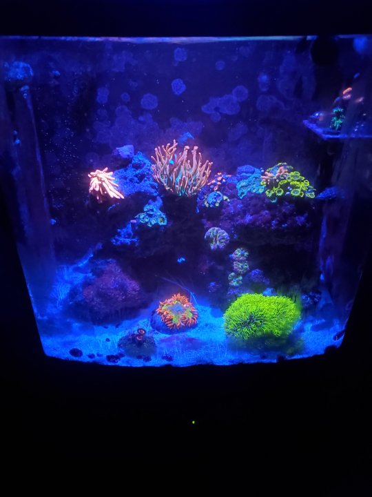 20210623_224643.jpg