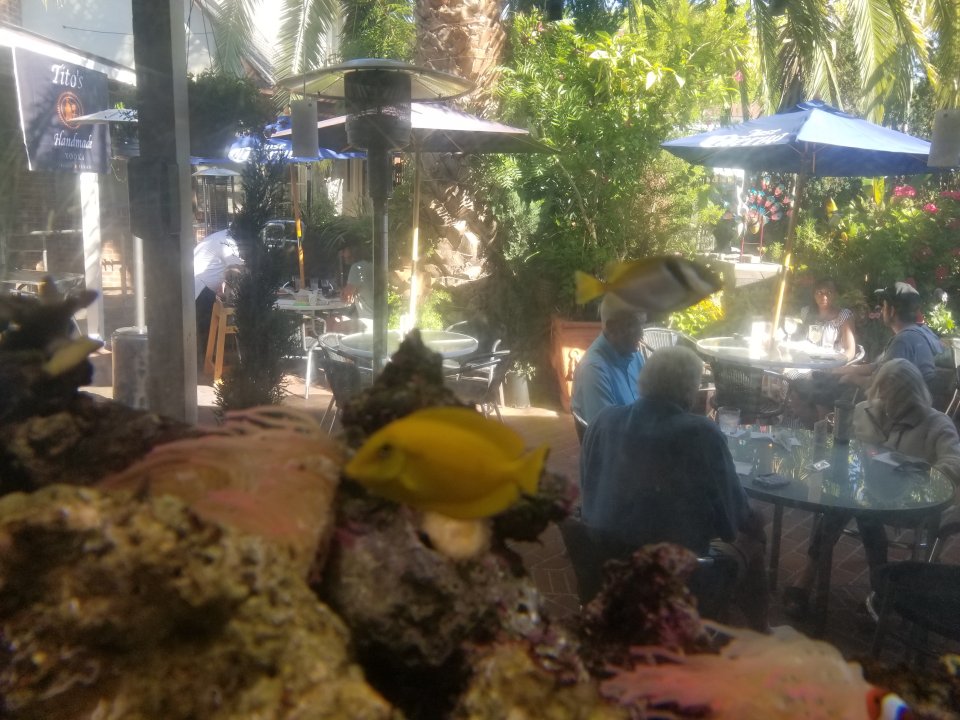 20210625_173914.jpg