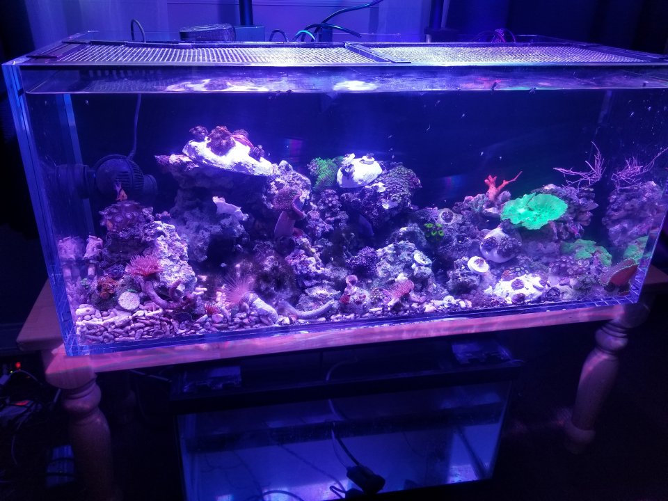 20210628_171557.jpg