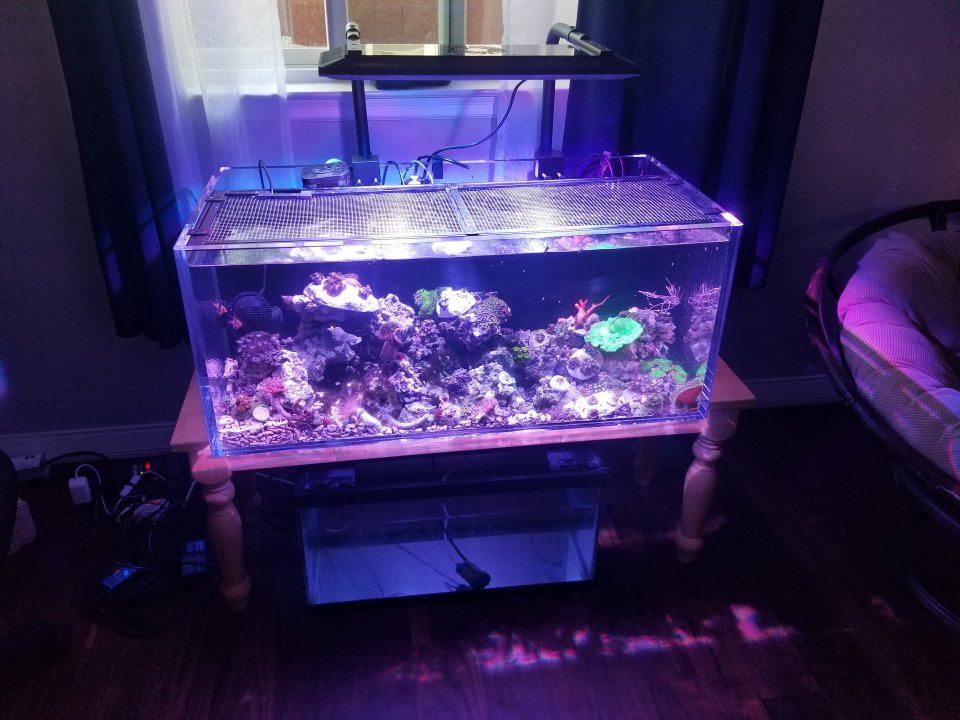 20210628_171601.jpg
