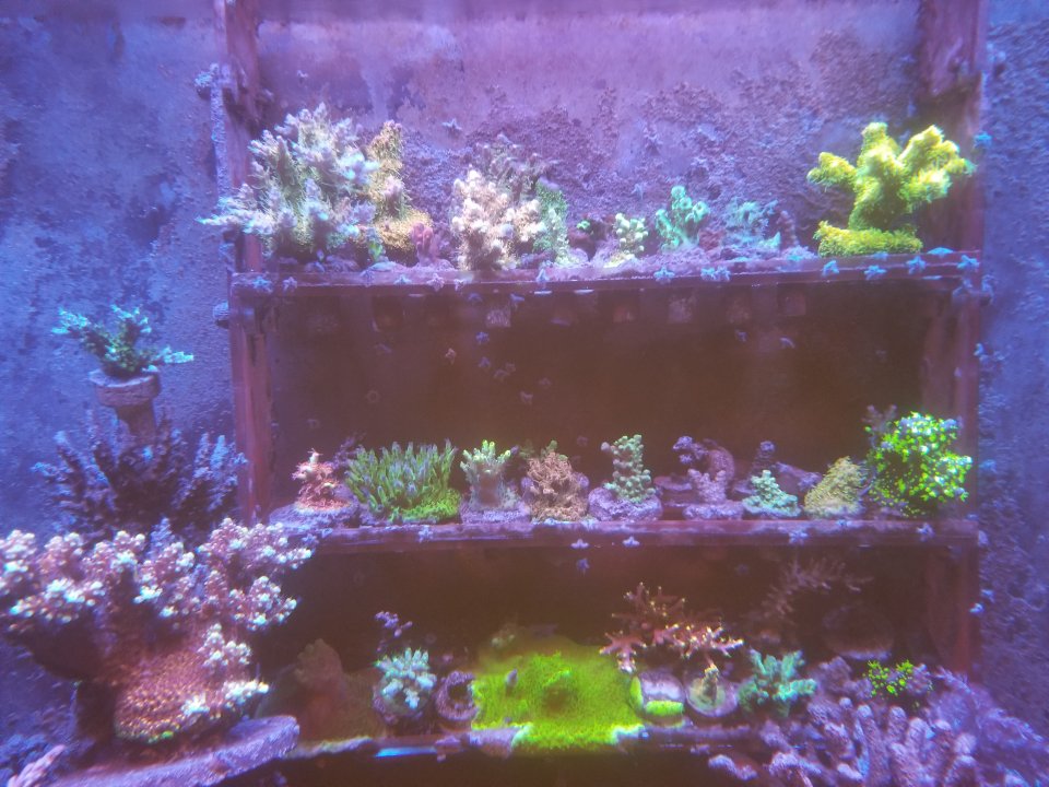 20210629_231512.jpg