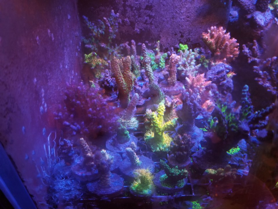20210629_231523.jpg