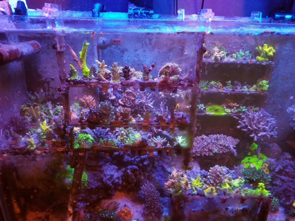 20210629_231532.jpg