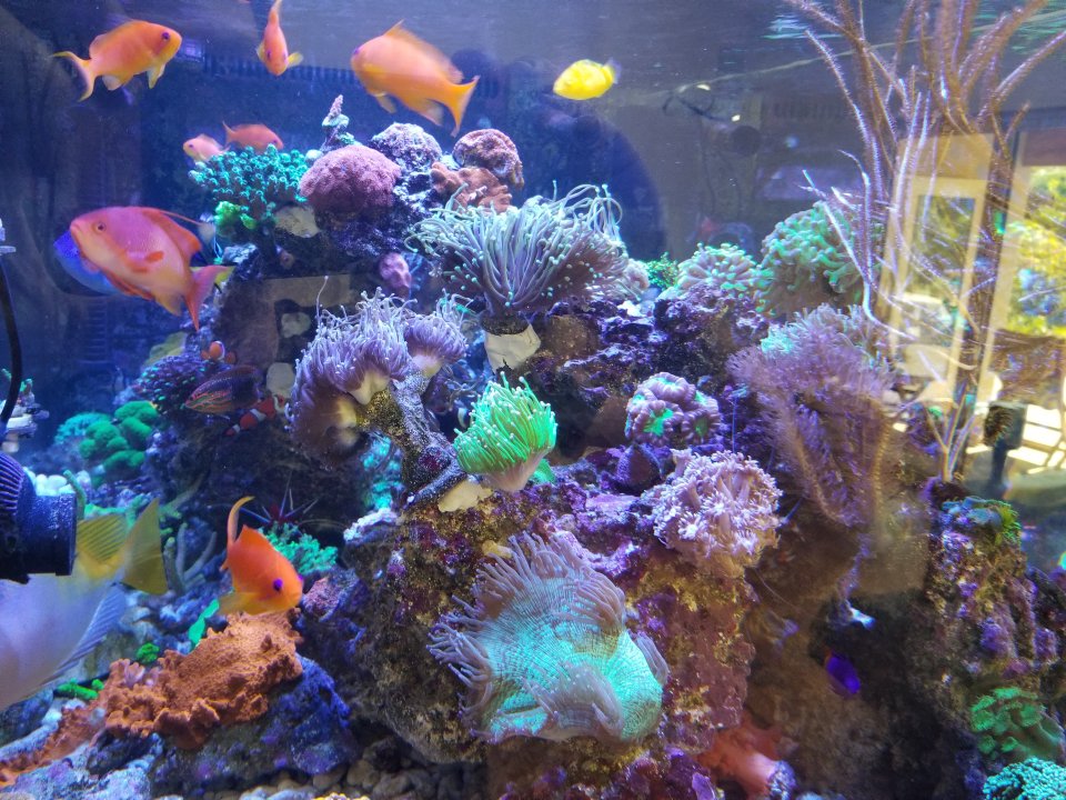20210702_100614.jpg