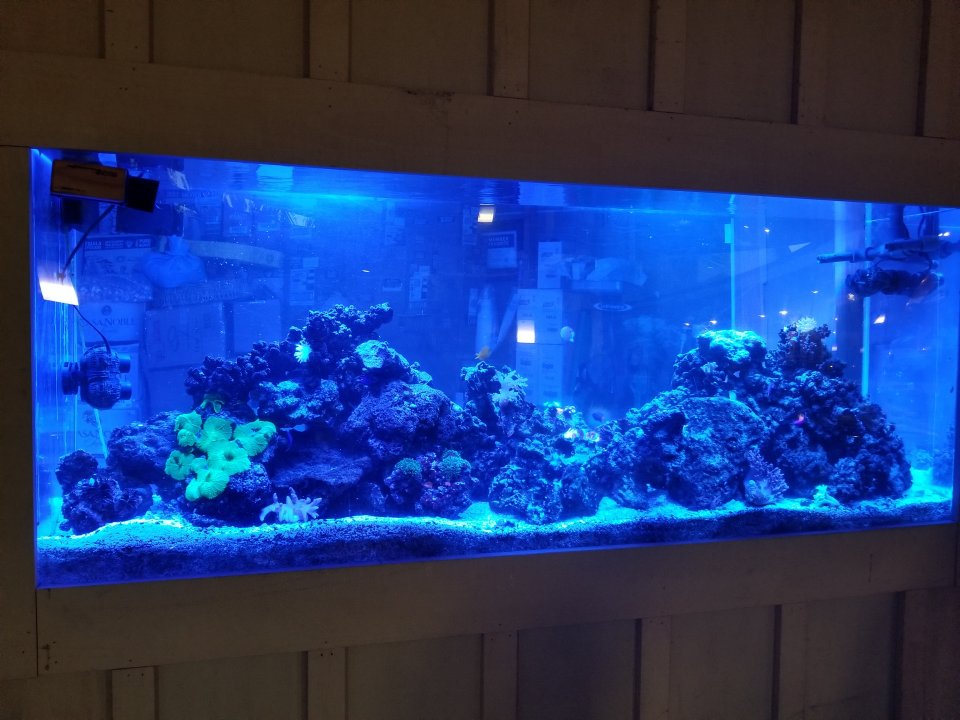 20210708_203725.jpg