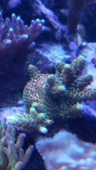 20210713_221233.jpg
