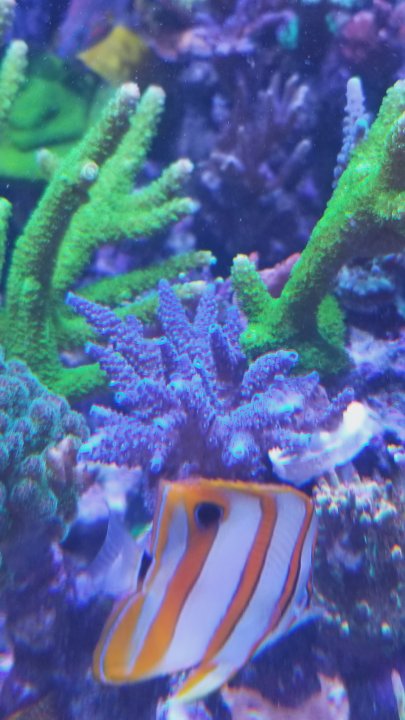 20210713_221453.jpg