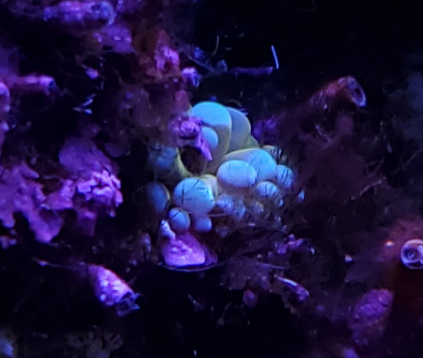 20210718_134144.jpg