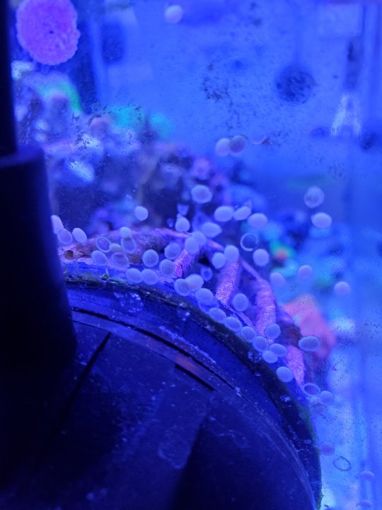 20210723_172715.jpg